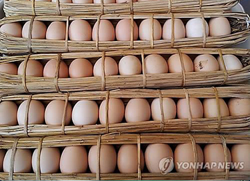 中韩人力网