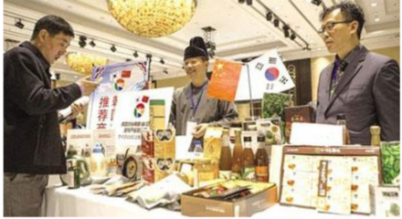 中韩人力网