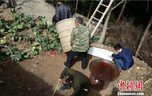 中韩人力网