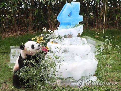 7月10日在爱宝乐园，乐宝准备享用生日蛋糕。--  中韩人力网