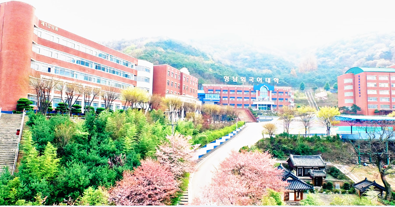 岭南外国语大学带薪留学招生简章