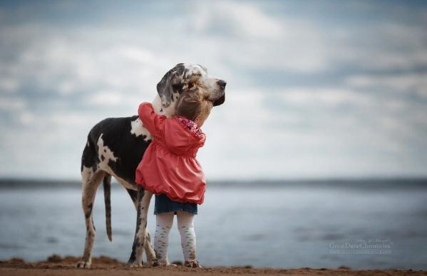 화면 가득 넘치는 ‘사랑’! 꼬마와 개의 훈훈한 풍경!