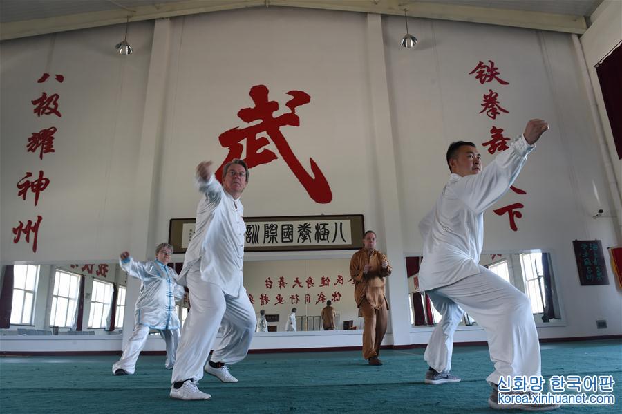 #（社会）（1）武术之乡的“丹麦小队”