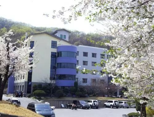 新闻传媒、艺术、设计专业详解——中韩人力网