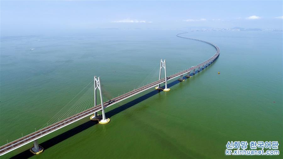 융합의 신구도 개척, 발전의 신경로 탐색—웨강아오 대만구 건설 1년에 즈음해——中韩人力网