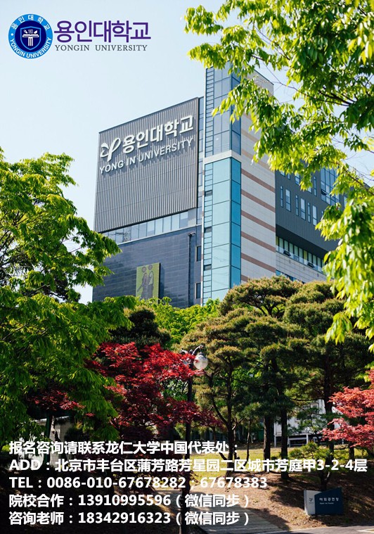 艺术生的向往专业——媒体设计专业——中韩人力网