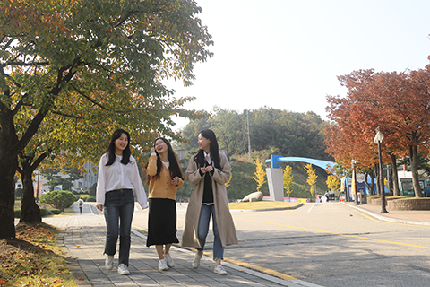 去韩国留学怎么办理签证呢？——韩国留学申请中心网
